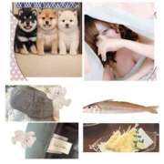 ヒメ日記 2026/09/07 11:19 投稿 まりん 出張メンズエステ TORICO SPA 高知店