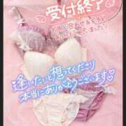 ヒメ日記 2026/04/29 21:15 投稿 円香(まどか) 出張メンズエステ TORICO SPA 高知店