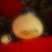 ヒメ日記 2025/05/11 18:02 投稿 アズ【STANDARD】 ROMANCE and GIRLS 盛岡