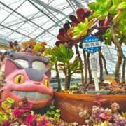 アズ【STANDARD】 🐾 ROMANCE and GIRLS 盛岡