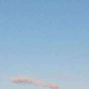 ヒメ日記 2025/12/31 10:54 投稿 蒼(あおい) 出張メンズエステ TORICO SPA 高知店