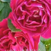 ヒメ日記 2026/02/22 20:03 投稿 蒼(あおい) 出張メンズエステ TORICO SPA 高知店