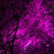 ヒメ日記 2025/12/07 12:04 投稿 かぐら 名古屋性感回春エステ エルミタージュ