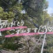 ヒメ日記 2026/04/02 18:01 投稿 かぐら 名古屋性感回春エステ エルミタージュ