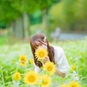 ヒメ日記 2025/08/15 09:46 投稿 天使ゆん 皇帝別館（こうていべっかん）