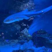 ヒメ日記 2026/03/12 20:59 投稿 上野りか 変態素人嬢ダダモーレ