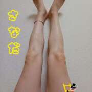 ヒメ日記 2025/11/14 19:18 投稿 真田(さなだ) 八王子人妻城