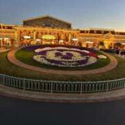 ヒメ日記 2025/12/20 12:41 投稿 もえ MAHARAJA(マハラジャ)千葉