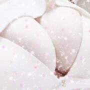 ヒメ日記 2024/12/17 14:50 投稿 ほたる 風俗城