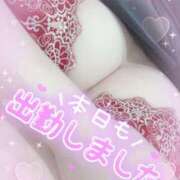 ヒメ日記 2025/04/03 17:51 投稿 みさと 奥様さくら日本橋店