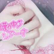 みさと みさと（clubさくら日本橋店） 奥様さくら日本橋店