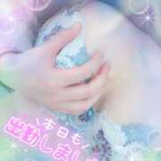 ヒメ日記 2025/01/22 17:16 投稿 みさと club さくら日本橋店