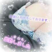 ヒメ日記 2025/12/07 10:16 投稿 みさと club さくら日本橋店