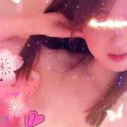 ヒメ日記 2025/03/31 13:01 投稿 月野れい セレブショップ新宿（東京ハレ系）