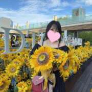 ヒメ日記 2025/09/21 18:13 投稿 えみり 石亭