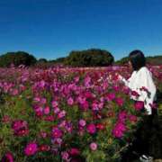 ヒメ日記 2025/11/04 14:34 投稿 えみり 石亭