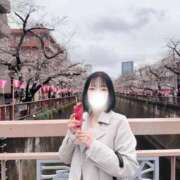 ヒメ日記 2026/04/07 12:37 投稿 えみり 石亭