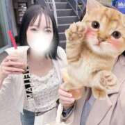 えみり 急遽明日出勤します🐱 石亭