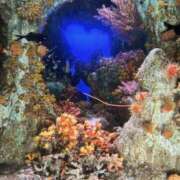 ヒメ日記 2025/05/31 14:41 投稿 まい 東京♂風俗の神様 町田・相模原店