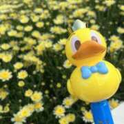 ヒメ日記 2025/06/04 21:51 投稿 まい 東京♂風俗の神様 町田・相模原店