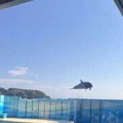 ヒメ日記 2025/07/30 20:02 投稿 まい 東京♂風俗の神様 町田・相模原店