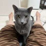 ヒメ日記 2025/03/07 15:19 投稿 堀岡 鶯谷デッドボール