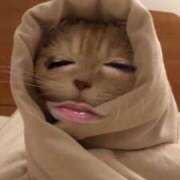 ヒメ日記 2025/03/11 16:03 投稿 堀岡 鶯谷デッドボール