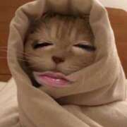 ヒメ日記 2025/07/27 15:59 投稿 堀岡 鶯谷デッドボール