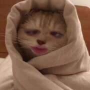 ヒメ日記 2025/08/26 20:09 投稿 堀岡 鶯谷デッドボール