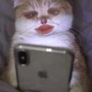 ヒメ日記 2025/08/29 11:21 投稿 堀岡 鶯谷デッドボール