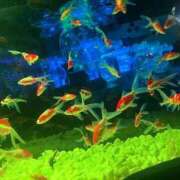 堀岡 申し訳ございませんでした。 鶯谷デッドボール