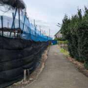 ヒメ日記 2025/05/26 20:22 投稿 まりあ 完熟ばなな千葉店