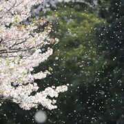 ヒメ日記 2026/03/28 18:54 投稿 まりあ 完熟ばなな千葉店