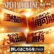 ももな【ギャルのマットご奉仕】 今日から ポニーテール和歌山店