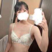 さくら 💌ゼロツーのお兄さま 君を舐めたくて学園