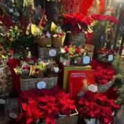 ヒメ日記 2024/12/21 19:28 投稿 里花(りか) 人妻出逢い会 百合の園 山の手本店