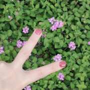 ヒメ日記 2025/01/24 09:06 投稿 かすみ チューリップ姫路店