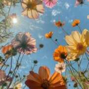 ヒメ日記 2025/06/16 18:50 投稿 かすみ チューリップ姫路店