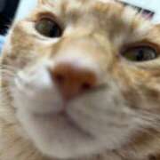 ヒメ日記 2025/05/01 02:04 投稿 キララ SKB48