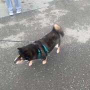 ヒメ日記 2025/09/22 07:44 投稿 キララ SKB48