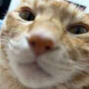 ヒメ日記 2025/09/30 02:34 投稿 キララ SKB48