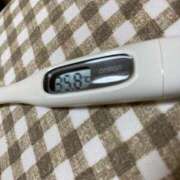 ヒメ日記 2025/04/10 14:14 投稿 長沢　りお つくば風俗エキスプレス   ヌキ坂46