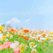 ヒメ日記 2025/05/04 10:41 投稿 あか 絶対服従！闇鍋会 錦糸町店