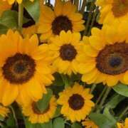 ヒメ日記 2025/08/18 10:41 投稿 あか 絶対服従！闇鍋会 錦糸町店