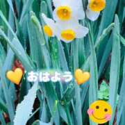 ヒメ日記 2025/02/03 07:57 投稿 あきら DEEP BLACK