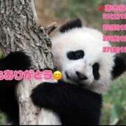 ヒメ日記 2026/02/20 15:07 投稿 あきら DEEP BLACK