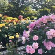 ヒメ日記 2026/05/24 22:51 投稿 あきら DEEP BLACK
