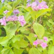 ヒメ日記 2026/06/03 10:34 投稿 あきら DEEP BLACK