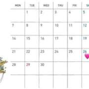 ヒメ日記 2025/04/06 16:35 投稿 ゆのん 逆バニーメンズエステ とろとろオイルSPA