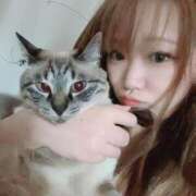 ヒメ日記 2025/11/18 18:01 投稿 マリ 京都ホテヘル倶楽部